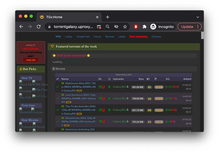 TorrentGalaxy