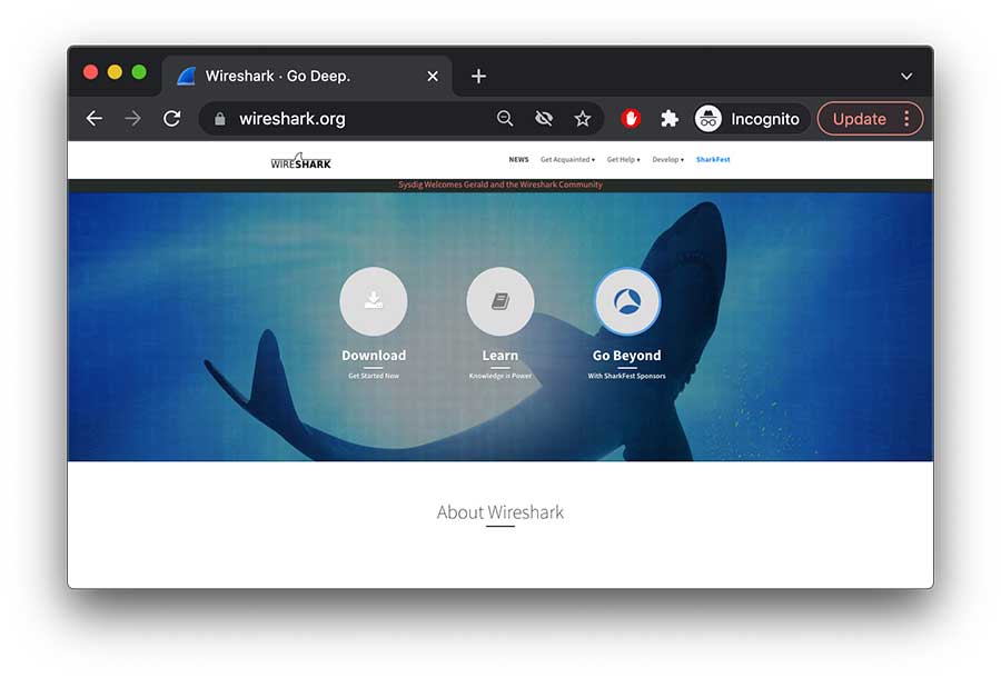 wireshark scanning tool